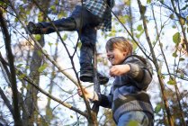 Meninos da idade elementar subindo na árvore no parque outonal — Fotografia de Stock
