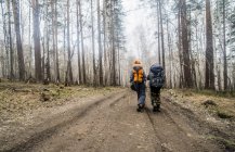 Vue arrière de randonneurs sur piste de terre forestière — Photo de stock