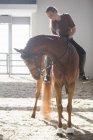 Donna a cavallo cavallo di castagno in paddock al coperto — Foto stock