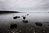 Rochas cobertas de musgo na costa — Fotografia de Stock