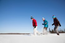Друзі грають у снігу на відкритому повітрі — стокове фото