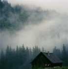 Cabin in foggy forest — Stock Photo