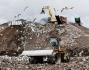 Oiseaux encerclant centre de collecte des ordures — Photo de stock