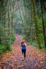 Chica corriendo en el bosque - foto de stock