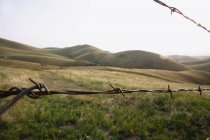 Barbed wire and rolling hills landscape, California, USA — Stock Photo