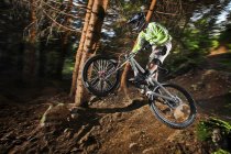 Гірський велосипедист середнє повітря над лісовою стежкою — стокове фото