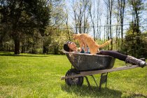 Femme dans brouette tenant chat roux — Photo de stock