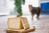 Käse auf Holzbrett am Boden mit verschwommener Katze im Hintergrund — Stockfoto