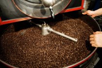 Granos de café en molinillo de café y manos humanas, tiro recortado - foto de stock