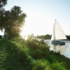 Sailing boat on the Norfolk Broads — Stock Photo