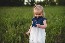 Menina no campo segurando flor — Fotografia de Stock