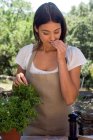 Young woman smelling fresh basil — Stock Photo
