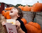 Portrait de garçon riant mangeant du pop-corn dans un patch de citrouille — Photo de stock