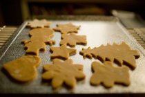 Freshly baked Christmas cookies on tray — Stock Photo