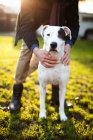 Cropped image of Man holding dog in park — Stock Photo