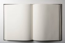 Vista superior do notebook aberto vazio no fundo branco — Fotografia de Stock