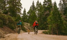 Cão de estimação correndo ao lado de ciclistas, Sequoia National Park, Califórnia, EUA — Fotografia de Stock