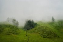 Nebel über hügeliger Landschaft — Stockfoto