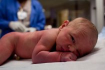 Newborn baby boy lying on front in hospital — Stock Photo