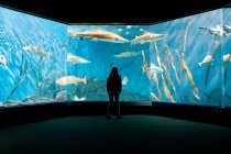 Mädchen beobachtet Fische im Aquarium — Stockfoto