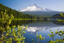 Mount Hood і Трілліум озеро — стокове фото