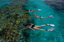 Snorkelers acima de um recife de coral. — Fotografia de Stock