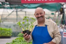 Maduro homem segurando pote planta no jardim centro, sorrindo — Fotografia de Stock