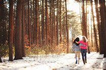 Mature women walking in forest — Stock Photo
