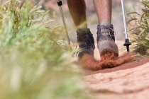 Feet of Hiker walking on dirt path with poles — Stock Photo