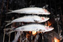 Close up of Fish grilling on barbecue — Stock Photo