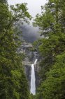 Вид на водопад в окружении зеленых деревьев, Национальный парк Йосемити, Калифорния, США — стоковое фото