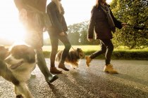 Старший пара і внучка, ходьба собаки, Норфолк, Великобританія — стокове фото