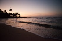 Гавайський пляж на заході сонця — стокове фото