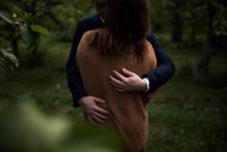 Romantisches Paar, das sich in der Dämmerung im Obstgarten umarmt — Stockfoto