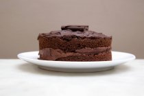 Шоколадний торт на тарілці — стокове фото