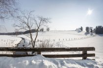 Fields covered with snow — Stock Photo
