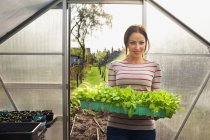 Junge Frau hält Pflanzen im Gewächshaus — Stockfoto