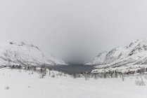 Фьорд во время тумана — стоковое фото