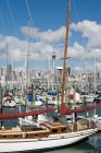 Barcos amarrados en Westhaven Marina, Auckland - foto de stock