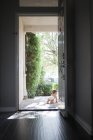Rückansicht eines Jungen mit Windel, der durch offene Haustür kriecht — Stockfoto