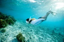 Snorkeler approaches coral reef — Stock Photo
