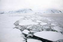 Témpanos de hielo en el archipiélago de Svalbard - foto de stock