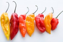 Chili pepppers in a row — Stock Photo
