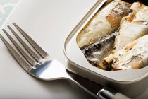 Can of sardines and fork — Stock Photo