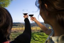 Frauen heben Weingläser — Stockfoto