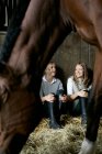 Cavalo na frente de duas mulheres em estábulo — Fotografia de Stock