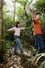 Jungen und Mädchen zu Fuß durch Wald — Stockfoto