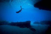 Подводный вид на красивого дайвера в синем море на заднем плане с чистой водой и красным — стоковое фото
