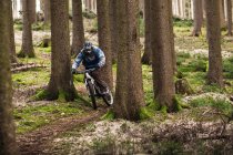 Giovane maschio in mountain bike cavalcando attraverso la foresta — Foto stock