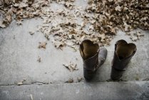 Paire de bottes de cow-boy sur asphalte avec feuilles tombées — Photo de stock